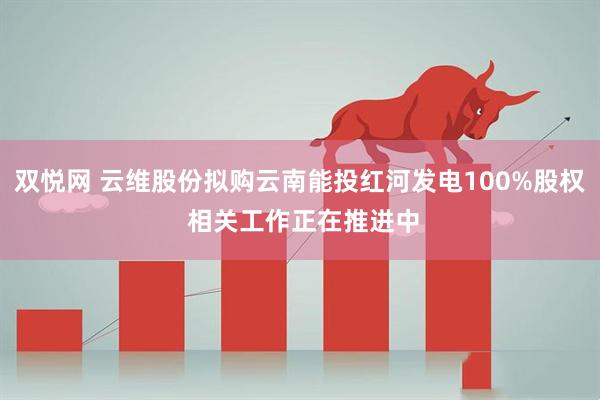 双悦网 云维股份拟购云南能投红河发电100%股权 相关工作正在推进中