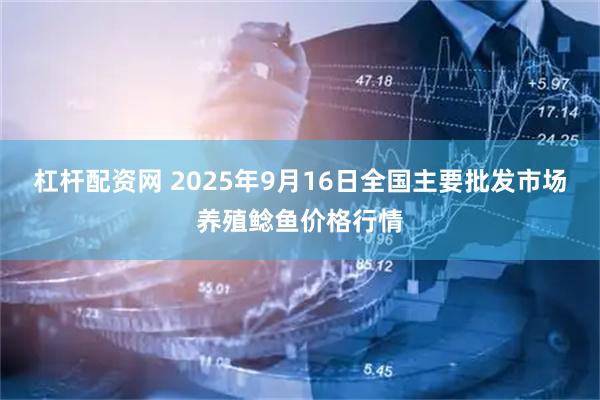 杠杆配资网 2025年9月16日全国主要批发市场养殖鲶鱼价格行情