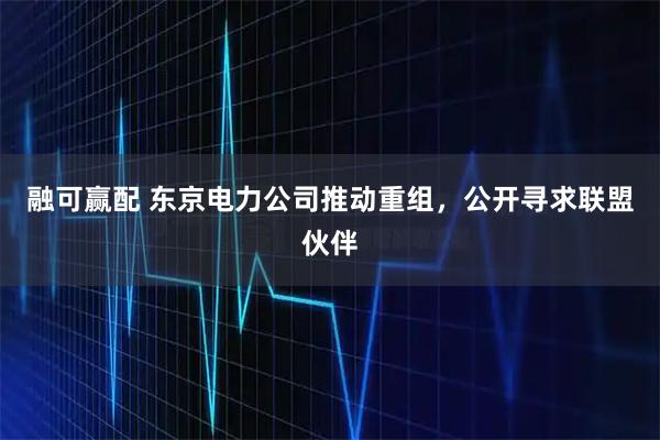 融可赢配 东京电力公司推动重组，公开寻求联盟伙伴