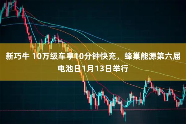 新巧牛 10万级车享10分钟快充，蜂巢能源第六届电池日1月13日举行